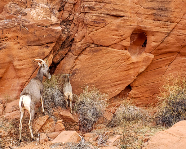 Valley of Fire State Park, Nevada